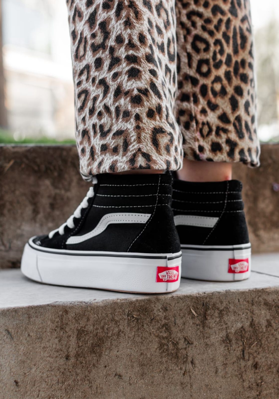 Vans plataforma - Imagen 5